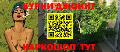 стафф Заводоуковск