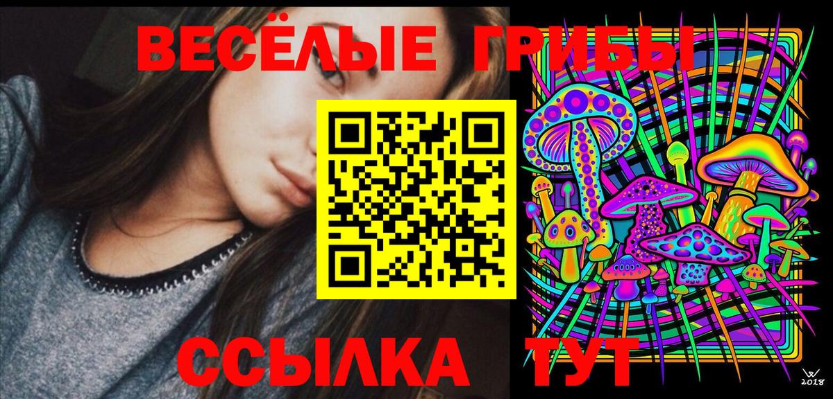 Чебаркуль  Псилоцибиновые грибы Psilocybe  Вход с VPN 